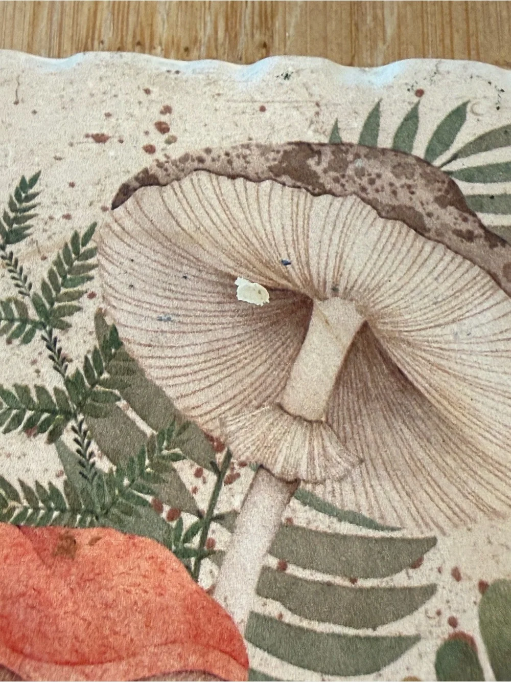 Mushroom Coasters Set of 4 Cottagecore Fairy Forest Whimsical Home Decor